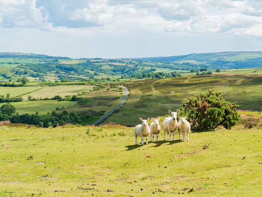 西環迷你倉的故事:理性看待娛樂價值