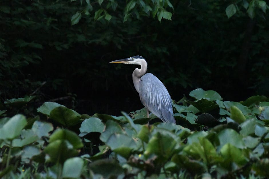 寫字樓包月清潔:打造潔淨辦公環境的秘密武器