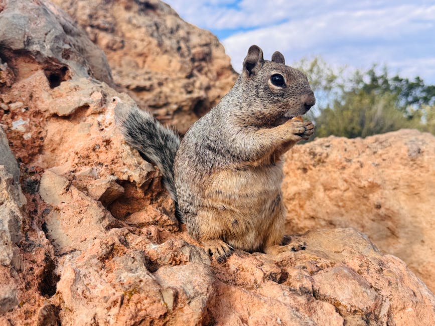 迷你倉:香港人的生活儲存小天地
